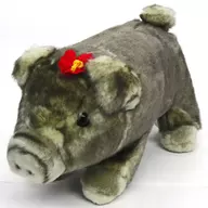 アグー(這い) ぬいぐるみ(S)沖縄限定