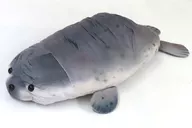 リアルあざらし BIGぬいぐるみ