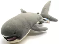 メガマウス 35cm ぬいぐるみ