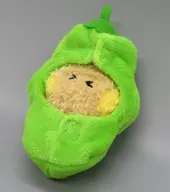 SHOOKY(シュガ) 野菜ぬいぐるみ(VEGGIE) 「BT21 minini」