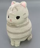 タビー JBぬいぐるみ 「ハチワレねこのモリー」