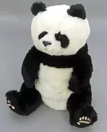 パンダ 40cm ぬいぐるみ アドベンチャーワールド限定