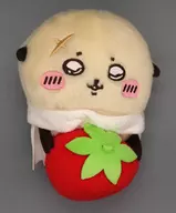 いちご持ちラッコ デスクトップから見守るひっかけぬいぐるみ 「ちいかわ なんか小さくてかわいいやつ」