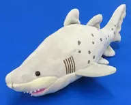 ほんわか!シロワニ ぬいぐるみ アクアワールド・大洗限定