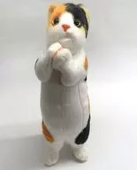 みけねこ(おねだり) ぬいぐるみ 「ちょこんとにゃんこ2」