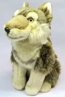タイリクオオカミ ぬいぐるみ
