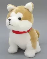 秋田犬（首輪/赤） ぬいぐるみ 秋田空港＆大館能代空港プロデュース