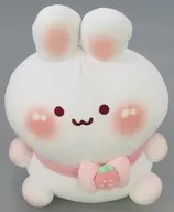 もちもちなうさぎぬいぐるみ クラウドファンディング返礼品
