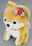 小梅 豆しば三兄弟おすわり BIGぬいぐるみ 「豆しば三兄弟」