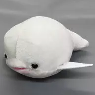 シロイルカ わくわくの海 シーアニマルズぬいぐるみ
