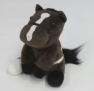 ソウルラッシュ(2025ドバイターフ) ぬいぐるみ Mサイズ 「アイドルホース」