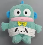 ハンギョドン はぴだんぶい5th ぬいぐるみ(S) 「サンリオキャラクターズ」