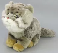 マヌルネコ(親) 26cm ぬいぐるみ