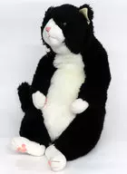 甚五郎 ぬいぐるみ