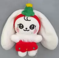 CHERRY(ウォニョン) クリスマス PLUSH DOLL(ぬいぐるみ) 「MINiVE」