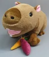 カピバラ ぬいぐるみ アクアパーク品川限定