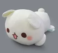 ゲスくま ひんやりクールぬいぐるみ 「ゲスくまVS毒舌あざらし」