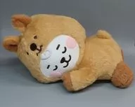 RJ(ジン) ベビー寝そべりぬいぐるみ(FLUFFY) 「BT21」