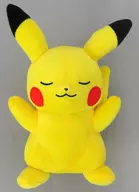 ピカチュウ くつろぎタイムぬいぐるみ～ピカチュウ・コイル・キバゴ～ 「ポケットモンスター」