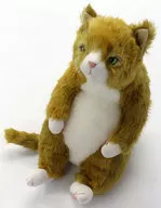 わさ美 ぬいぐるみ