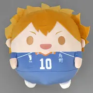 日向翔陽 ふわコロりんメガ 「くじメイト ハイキュー!! ぬいくじ」 A-A賞
