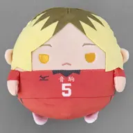 孤爪研磨 ふわコロりんMsize 「くじメイト ハイキュー!! ぬいくじ」 C-C賞