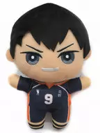 影山飛雄 みにコレ! ぬいぐるみ 「ハイキュー!!」