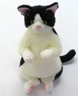 タマ子(白黒/ハチワレ/ゴールドアイ) ぬいぐるみ