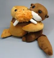 セイウチ＆カワウソ ぬいぐるみM