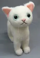 ドロップス シロ(ブルーアイ) ぬいぐるみ