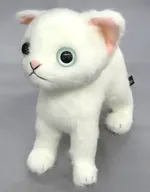 シロ(ブルーアイ) ぬいぐるみ ドロップス