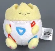 トゲピー(目閉じ) 11cm ぬいぐるみ 「ポケットモンスター」