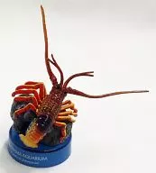 龍蝦