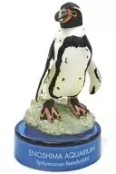 Humboldt penguin "Invitation to Enoshima Aquarium 2" 2004 7-ELEVEN convenience stores campaign item