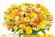 夢が叶う パワフルイエロー 「花色セラピー」ジグソーパズル 1000ピースマイクロ[M61-701]