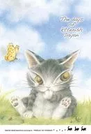 ぼく、迷子になっちゃった 「わちふぃーるど」 ジグソーパズル 204ピース [98-508]