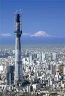 Tokyo Sky Tree Fuji Kaisei Puzzle Puzzle 204 Peças [98-559]