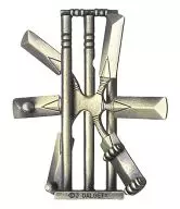 Cast puzzle cricket
