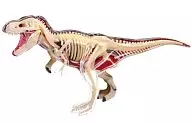 Modelo de dissecação T-REX "4DVISION Animal Anatomy No. 22" StereoPuzzle
