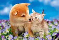 花畑のデート 「PRETTY PET」 ジグソーパズル 300ピース [P33-083]