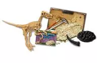 3D Dinosaur Puzzle Fossil Excavation Velociraptor [DN 015]