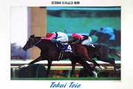 Tokai Teio 38 th Arima Memorial Championship Puzzle 1000 Pieces [14-289]