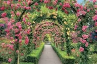 ブッチャートガーデンの花のトンネル 「世界の美しい庭園」 ジグソーパズル 2016ベリースモールピース [23-601]