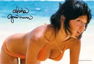 Agnes Lam Paradise Puzzle 300 peças [300-183]