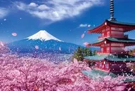 富士和鶴舞之淺間神社世界極小拼圖[M81-588]