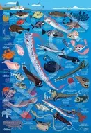 深水生物图鉴深度200m～1000m拼图乐队拼图100大拼图[26-807]