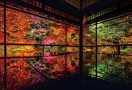 秋深まる瑠璃光院 「日本風景」 ジグソーパズル 1000ピース [1000-041]