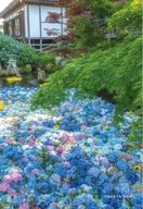 茨城県桜川市『雨引観音』 「日本の都市」 難しジグソー ジグソーパズル 300ピース [300-333]