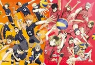 The Final Battle at the Garbage Dump (3) "Theatrical Haikyu! The Final Battle at the Garbage Dump" Jigsaw Puzzle 1000 Pieces [1000T-519]