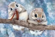 MOGU MOGU Siberian flying squirrel Jigsaw Puzzle 300 pieces [300-102]